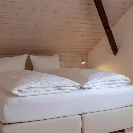 Apartmenthaus Brunnenhof 公寓 *